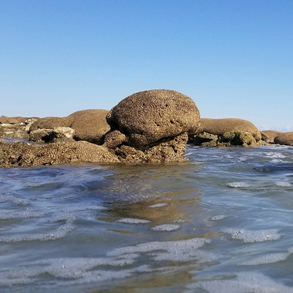 Meet your Posher, Steven - Picture 1 of 1